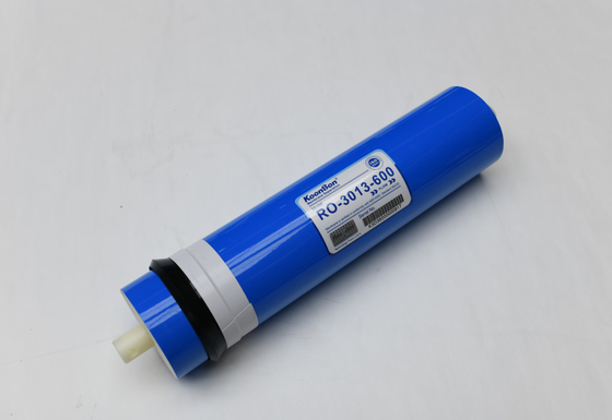 NSF Sertifikalı RO-3013-600 Ev Su Temizleyicisi için GPD RO Membranı